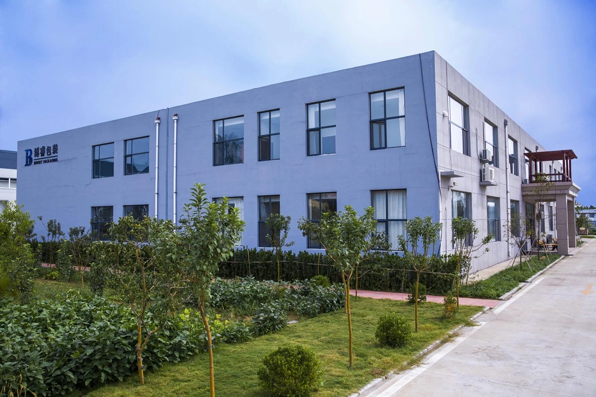 About Our Company